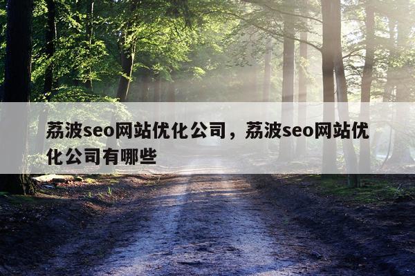 荔波seo网站优化公司，荔波seo网站优化公司有哪些
