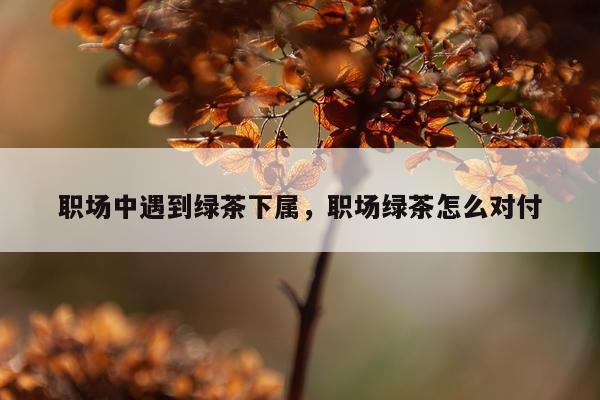 职场中遇到绿茶下属，职场绿茶怎么对付