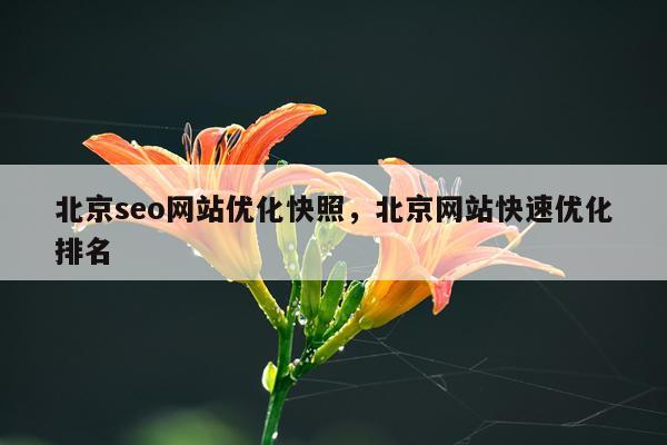 北京seo网站优化快照，北京网站快速优化排名