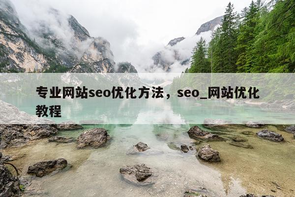 专业网站seo优化方法，seo_网站优化教程