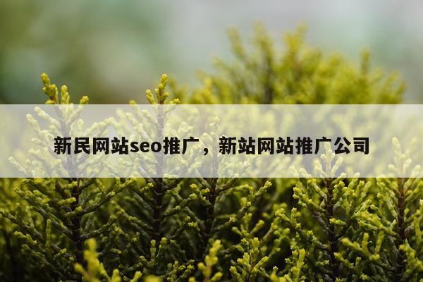 新民网站seo推广，新站网站推广公司