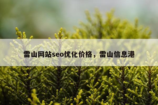 雷山网站seo优化价格，雷山信息港