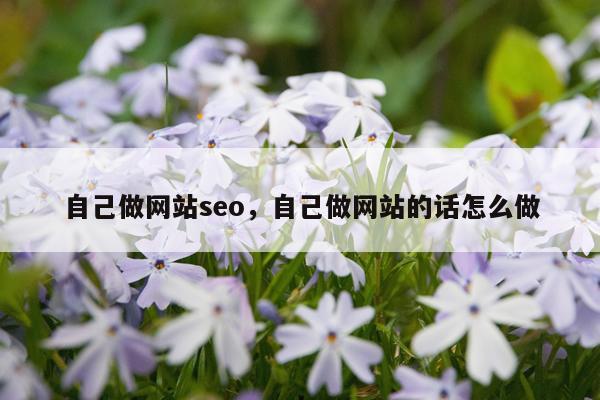 自己做网站seo，自己做网站的话怎么做