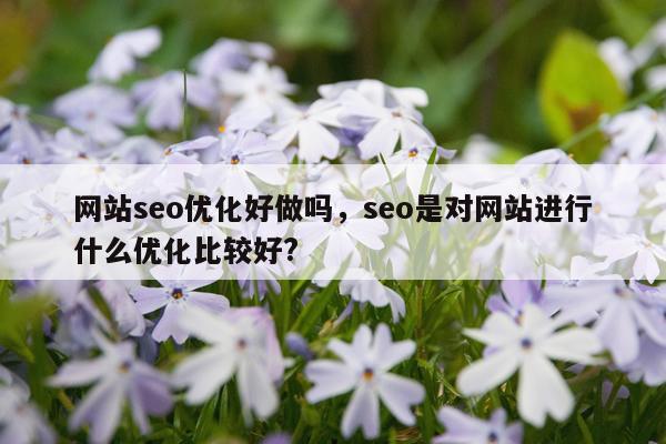 网站seo优化好做吗，seo是对网站进行什么优化比较好?