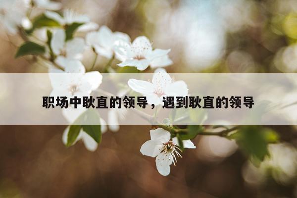 职场中耿直的领导，遇到耿直的领导