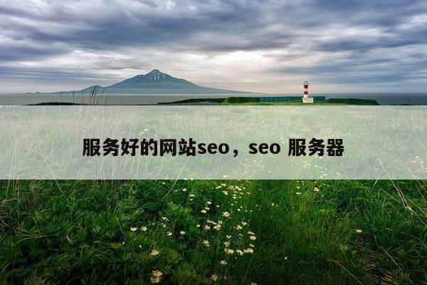 服务好的网站seo，seo 服务器