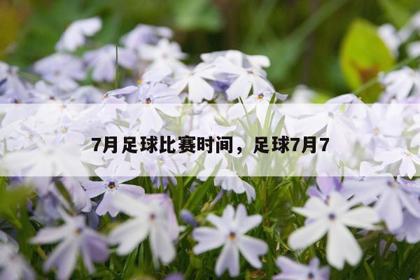 7月足球比赛时间，足球7月7