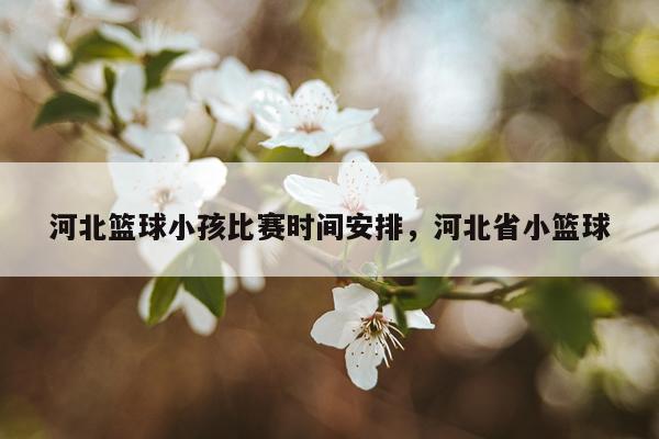 河北篮球小孩比赛时间安排，河北省小篮球