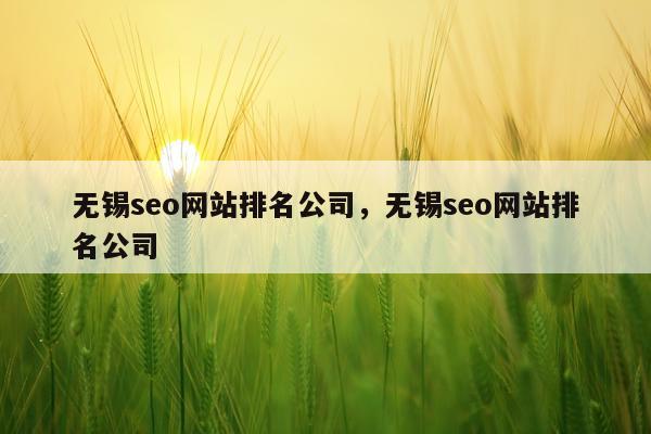 无锡seo网站排名公司，无锡seo网站排名公司