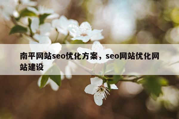 南平网站seo优化方案，seo网站优化网站建设