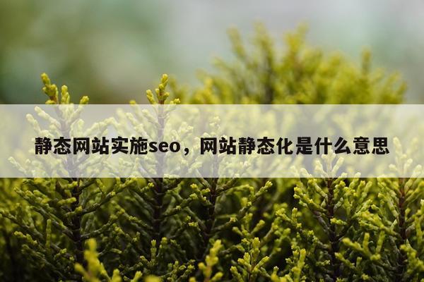 静态网站实施seo，网站静态化是什么意思