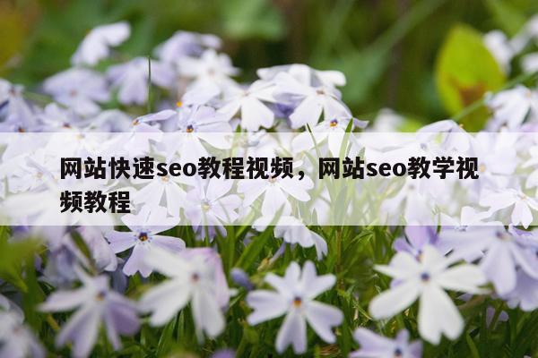 网站快速seo教程视频，网站seo教学视频教程