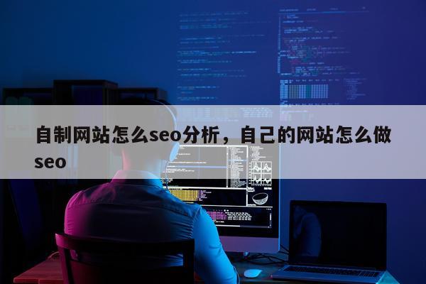自制网站怎么seo分析，自己的网站怎么做seo