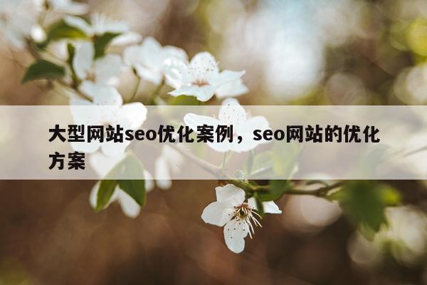 大型网站seo优化案例，seo网站的优化方案