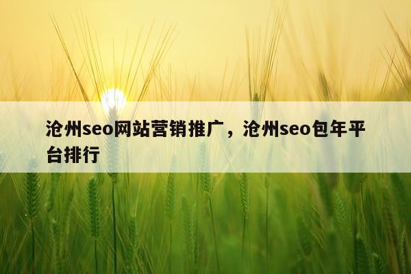 沧州seo网站营销推广，沧州seo包年平台排行