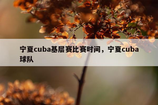 宁夏cuba基层赛比赛时间，宁夏cuba球队