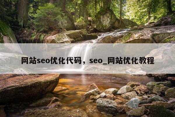 网站seo优化代码，seo_网站优化教程