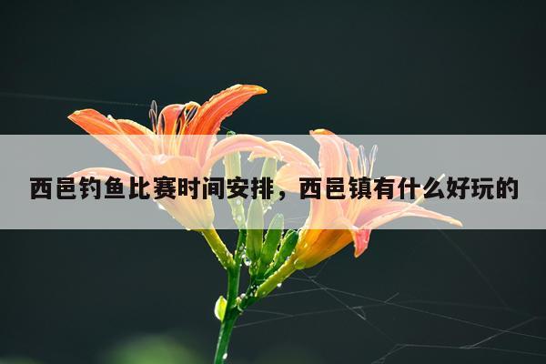 西邑钓鱼比赛时间安排,西邑镇有什么好玩的