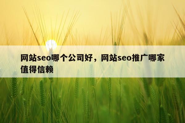 网站seo哪个公司好,网站seo推广哪家值得信赖