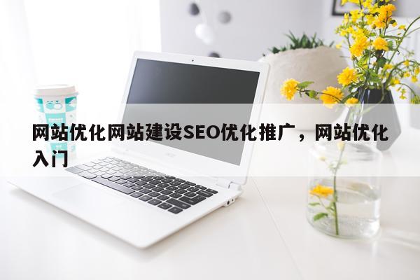 网站优化网站建设SEO优化推广，网站优化入门