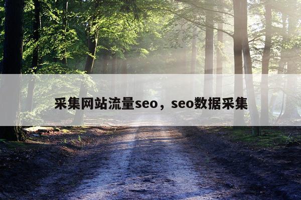 采集网站流量seo，seo数据采集