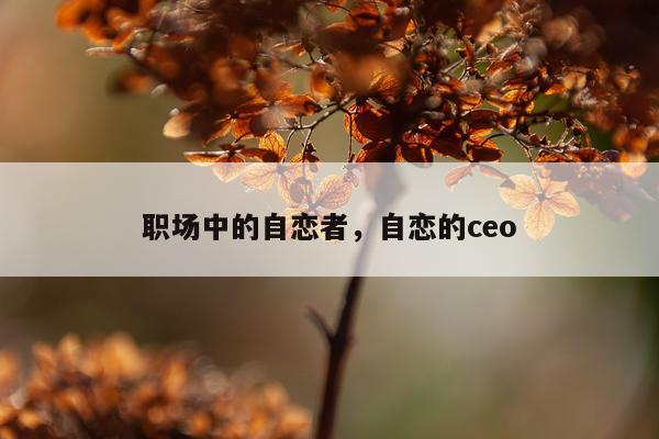 职场中的自恋者，自恋的ceo