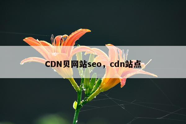 CDN贝网站seo,cdn站点