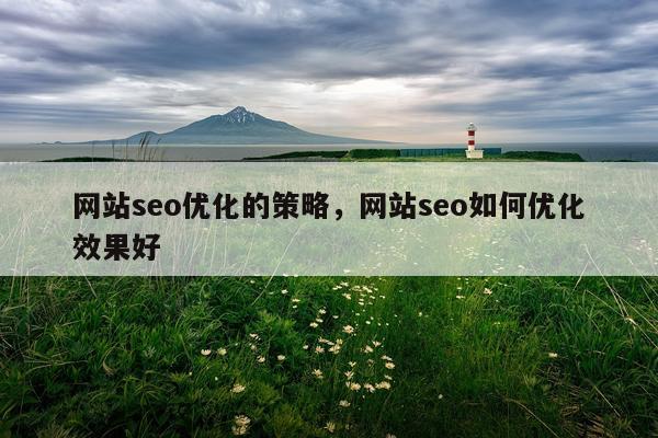 网站seo优化的策略,网站seo如何优化效果好