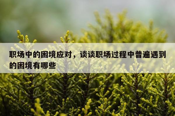 职场中的困境应对,谈谈职场过程中普遍遇到的困境有哪些
