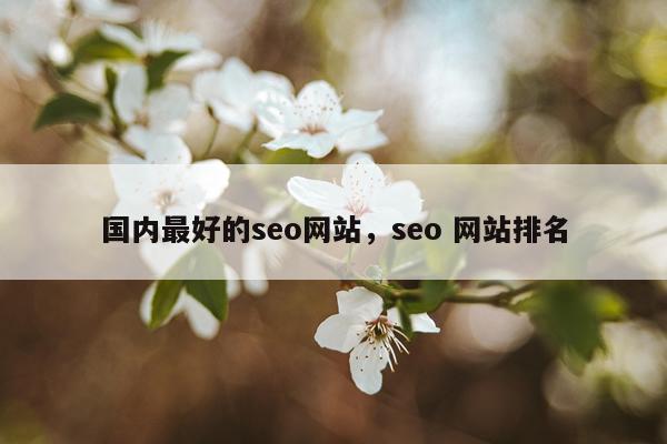 国内最好的seo网站,seo 网站排名