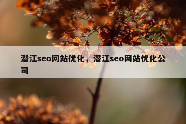潜江seo网站优化,潜江seo网站优化公司