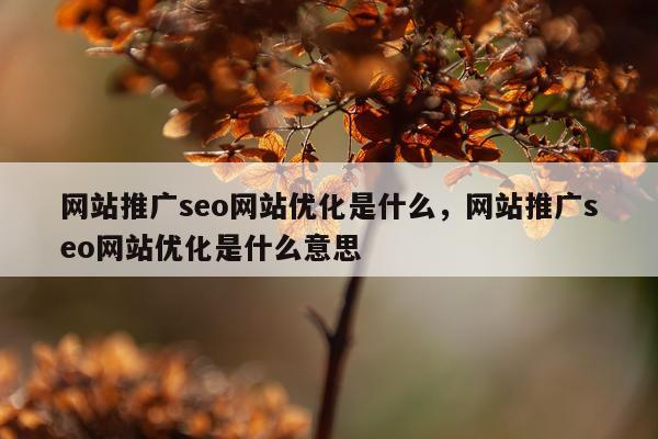 网站推广seo网站优化是什么,网站推广seo网站优化是什么意思