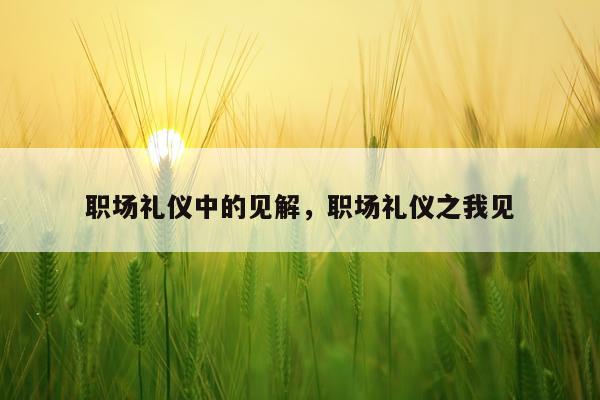 职场礼仪中的见解,职场礼仪之我见