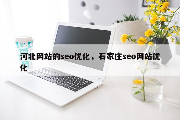 河北网站的seo优化,石家庄seo网站优化