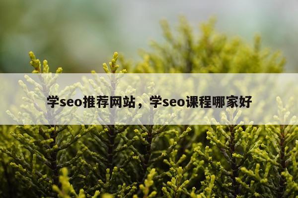 学seo推荐网站,学seo课程哪家好