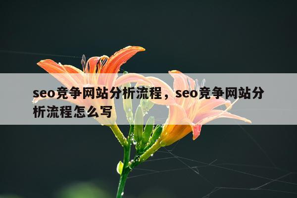 seo竞争网站分析流程,seo竞争网站分析流程怎么写