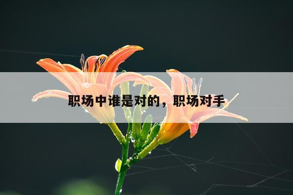 职场中谁是对的,职场对手