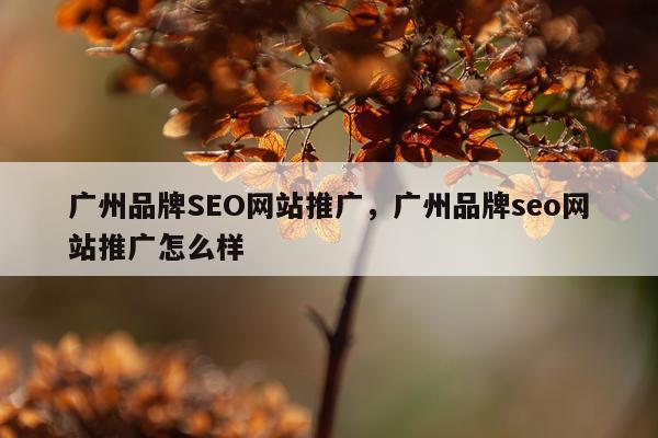 广州品牌SEO网站推广,广州品牌seo网站推广怎么样
