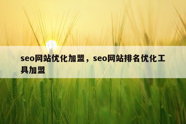 seo网站优化加盟,seo网站排名优化工具加盟
