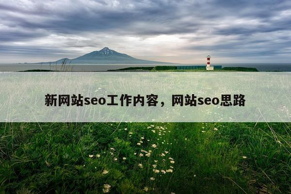 新网站seo工作内容,网站seo思路