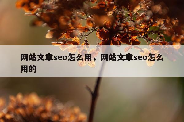 网站文章seo怎么用,网站文章seo怎么用的
