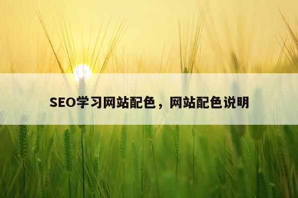 SEO学习网站配色,网站配色说明