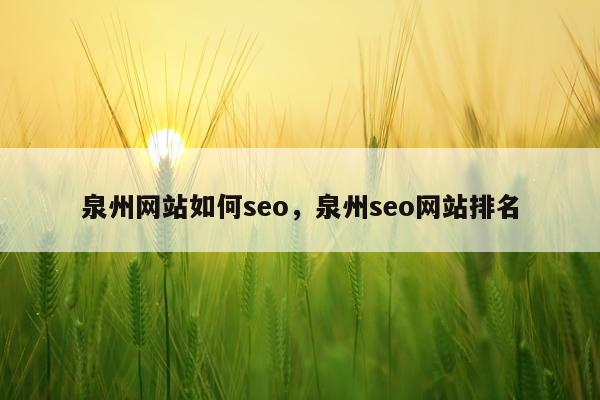 泉州网站如何seo,泉州seo网站排名