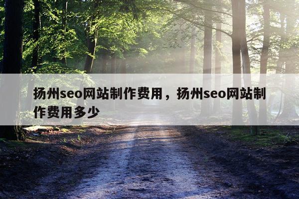 扬州seo网站制作费用,扬州seo网站制作费用多少