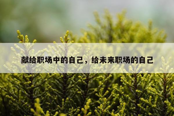 献给职场中的自己,给未来职场的自己