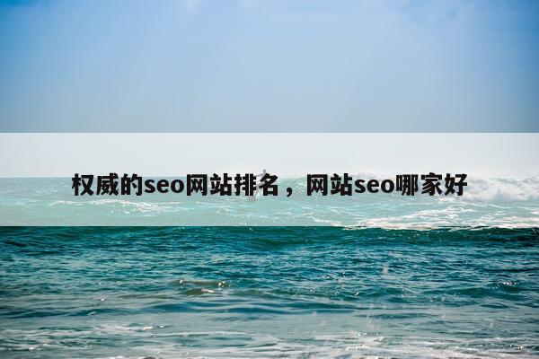 权威的seo网站排名,网站seo哪家好