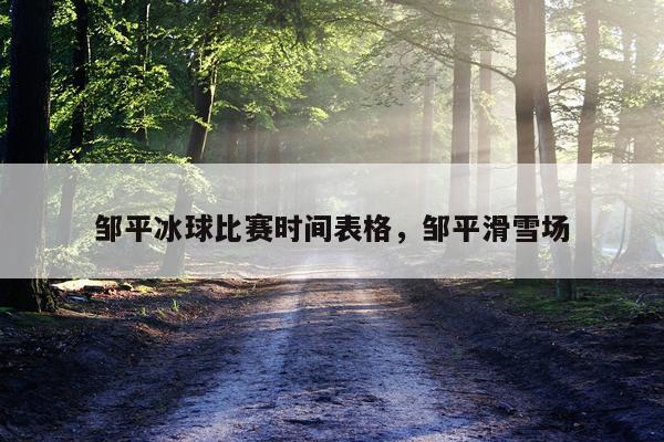 邹平冰球比赛时间表格，邹平滑雪场