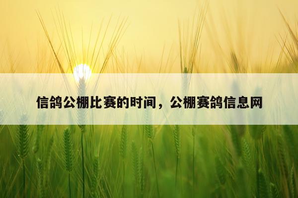 信鸽公棚比赛的时间,公棚赛鸽信息网