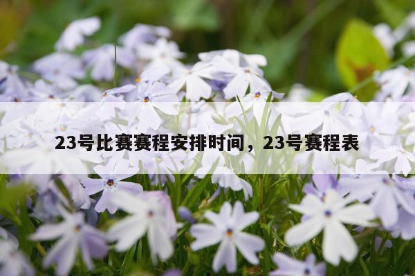 23号比赛赛程安排时间,23号赛程表