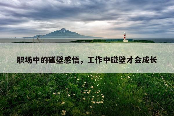 职场中的碰壁感悟,工作中碰壁才会成长